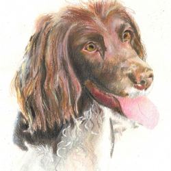 View Tilly - Beau's mum