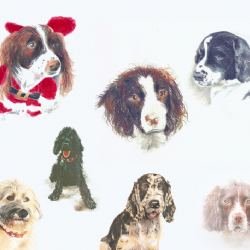 Browse Dog portraits